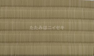 東レ敷楽引目アイボリー