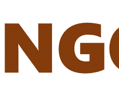 bingo